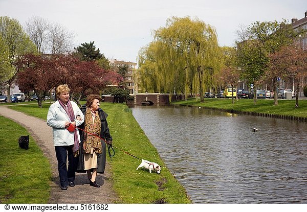 gehen  Senior  Senioren  Produktion  Hund  vorwärts  Tochter  Mutter - Mensch  Erwachsener  Rotterdam