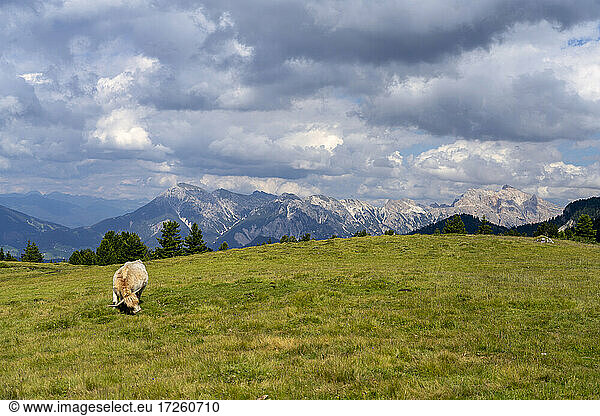 Geislergruppe  Erbe-Pass im Sommer  Südtirol  Alto Adige  Dolomiten  Italien  Europa