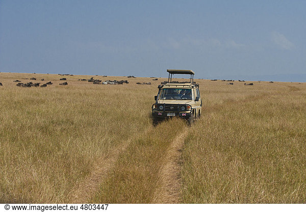 Geländefahrzeug in der Serengeti Safari Gamedrive Tansania Afrika