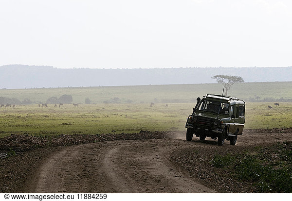 Geländewagen auf Safari  Masai Mara National Reserve  Kenia