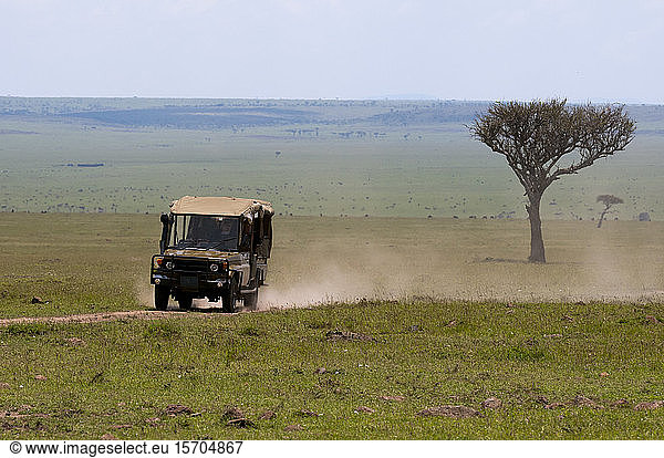 Geländewagen auf Safari Masai Mara National Reserve Kenia