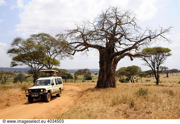 Geländewagen mit Touristen auf Safari unter Baobab-Baum  Affenbrotbaum (Adansonia digitata)  Tarangire-Nationalpark  Tansania  Afrika