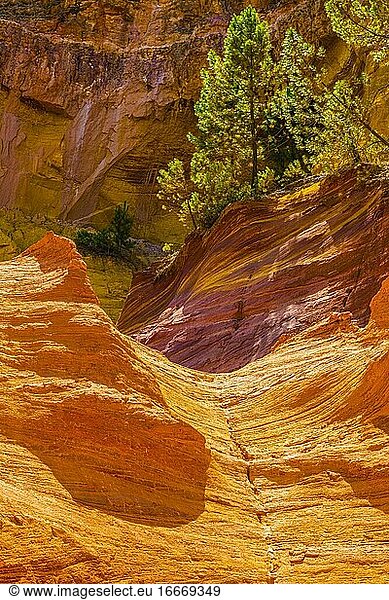Gelb- und rotleuchtende Felswände im Naturpark der Ockerfelsen in Roussillon  Luberon  Provence  Frankreich  Europa