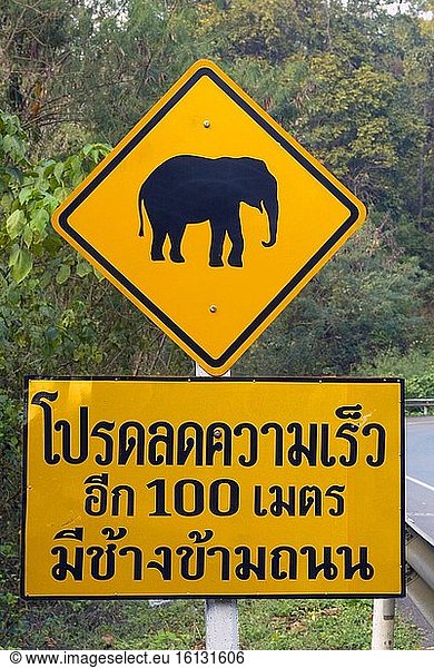 Gelbe Raute Form Straße Seite Elefanten Warnzeichen Norden Thailand