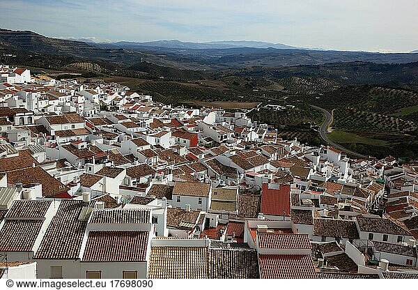 Gemeinde Olvera in der Provinz Cadiz  gelegen an der Ruta de los Pueblos Blancos  Straße der weißen Dörfer  Blick über den Ort  Andalusien  Spanien  Europa