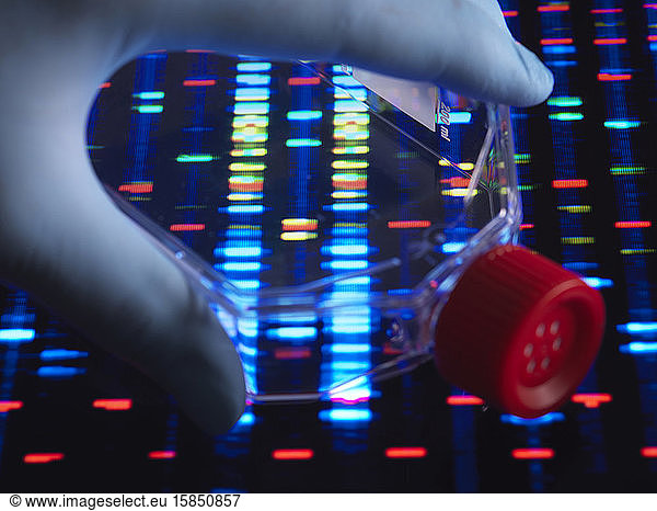 Genetische Forschung  Fläschchen mit Zellen mit einem DNA-Profil.