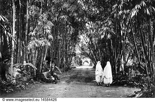 Geo hist.  Algerien  StÃ¤dte  Algier  Parks  Jardin d'Essai  weiss verschleierte algerische Frauen und EuropÃ¤er  erste HÃ¤lfte 1930er Jahre