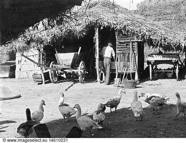 Geo hist.  Deutschland  Inseln  Insel GrÃ¼n  Dorf  Bauer auf seinem Hof  1950er Jahre