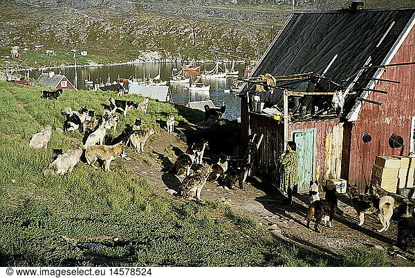 Geo. hist.  GrÃ¶nland  Jakobshavn  Schlittenhunde vor einem Haus  1962