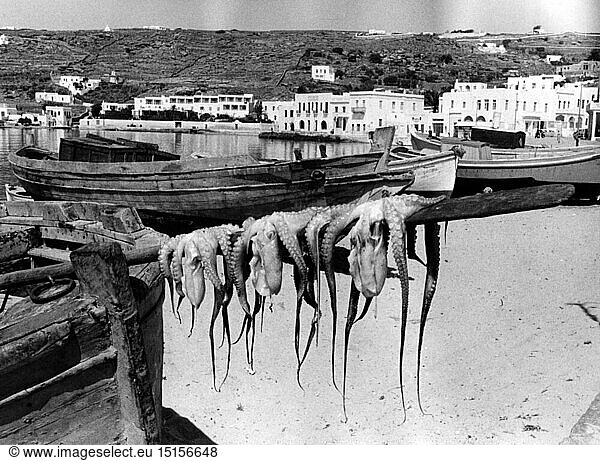 Geo hist.  Griechenland  Inseln  Mykonos  Mykonos Stadt  Hafen  Tintenfische hÃ¤ngen zum Trocknen aus  1960