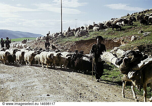 Geo. hist.  Iran  Menschen  SchÃ¤fer bei Teheran  1955