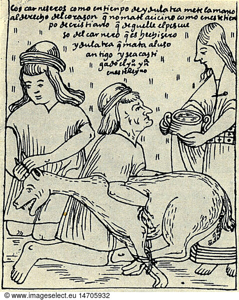 Geo hist.  Peru  Religion  Inka  Opferung eines Lama nach altem Ritus  Kupferstich  'Nueva coronica y buen gobierno' von Felipe Guaman Poma de Ayala  um 1613