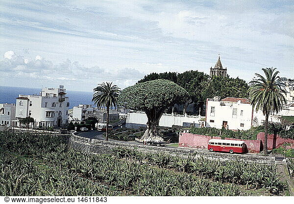 Geo hist  Spanien  Kanarische Inseln  Teneriffa  Ã¤ltester kanarischer Drachenbaum  Icod de los Vinos  1970er Jahre