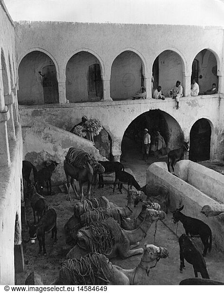 Geo. hist.  Tunesien  StÃ¤dte  Tunis  GebÃ¤ude  Hof fÃ¼r Kamele und Esel  circa 1950er Jahre
