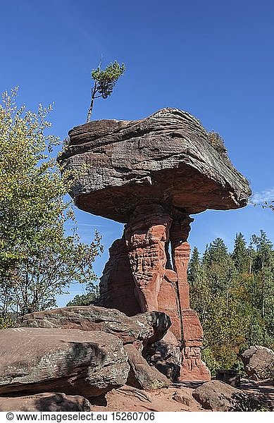 Geografie, BRD, Rheinland-Pfalz, Hinterweidenthal, Teufelstisch bei Hinterweidenthal im Pfälzer Wald, Pfalz