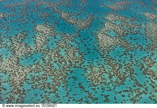 Geografie  Australien  Luftaufnahme Grosses Barriere Riff  Queensland  Australien