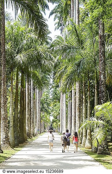 Geografie  Brasilien  StÃ¤dte  Rio de Janeiro  GÃ¤rten / Parks  Botanischer Garten