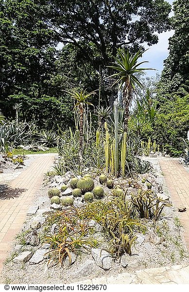 Geografie  Brasilien  StÃ¤dte  Rio de Janeiro  GÃ¤rten / Parks  Botanischer Garten  Sukkulentengarten