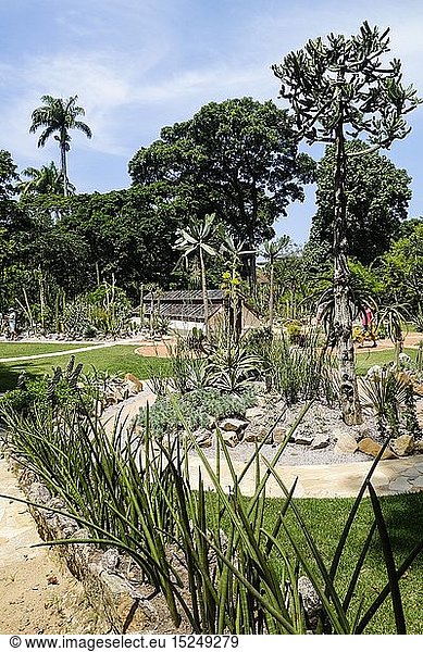 Geografie  Brasilien  StÃ¤dte  Rio de Janeiro  GÃ¤rten / Parks  Botanischer Garten  Sukkulentengarten