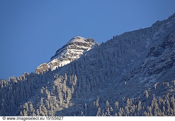 Geografie  BRD  Bayern  KrÃ¼n  Die SchÃ¶ttelkarspitze in der Soierngruppe  KrÃ¼n  bei Mittenwald  Oberbayern