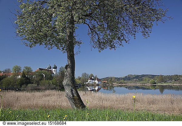 Geografie  BRD  Bayern  Seeon-Seebruck  Kloster Seeon  im Klostersee  Chiemgau