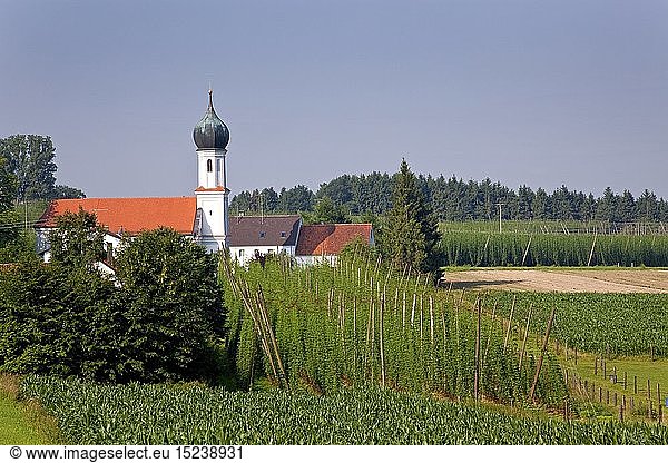 Geografie  BRD  Bayern  Wolnzach  Wallfahrtskirche MariÃ¤e Himmelfahrt in Lohwinden  Wolnzach  Hallertau  Oberbayern  SÃ¼ddeutschland