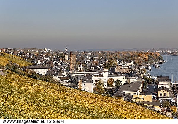 Geografie  BRD  Hessen  RÃ¼desheim am Rhein  Blick Ã¼ber die Weinberge auf RÃ¼desheim  Rheingau