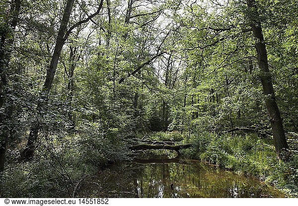 Geografie  BRD  Nordrhein-Westfalen  Sauerland  Naturpark Arnsberger Wald  Sauerland-Waldroute  MÃ¶hnesee  Naturschutzgebiet Hevesee