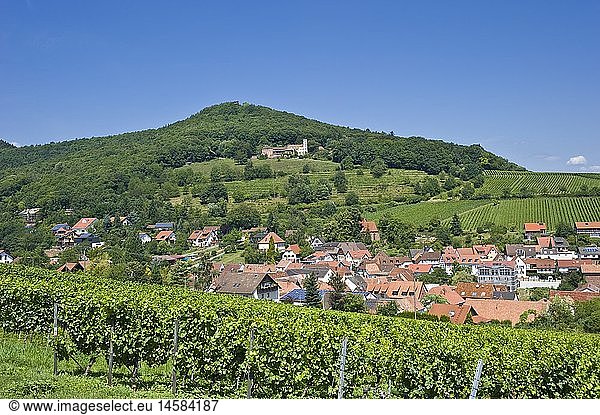 Geografie  BRD  Rheinland-Pfalz  Leinsweiler  Ortsansicht mit Slevogthof