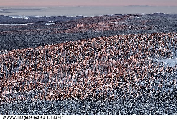 Geografie  BRD  Sachsen-Anhalt  Nationalpark Harz  Sonnenlicht der aufgehenden Sonne fÃ¤llt auf verschneite Landschaft des Nationalparks Harz