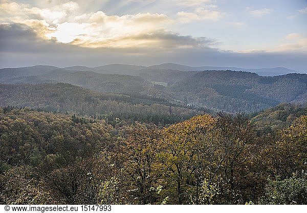 Geografie  BRD  ThÃ¼ringen  Eisenach  ThÃ¼ringer Wald im Herbst