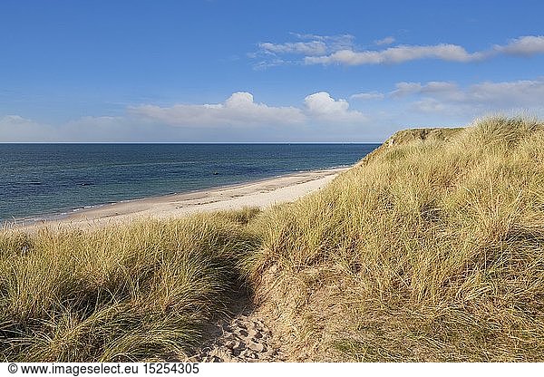 Geografie  DÃ¤nemark  Nordjylland  Hirthals  DÃ¼nen und Strand von Hirtshals  Nordjylland  Nordeuropa