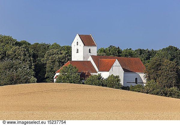 Geografie  DÃ¤nemark  Syddanmark  Insel Langeland  Humble Kirche auf der Insel Langeland  Syddanmark  Nordeuropa