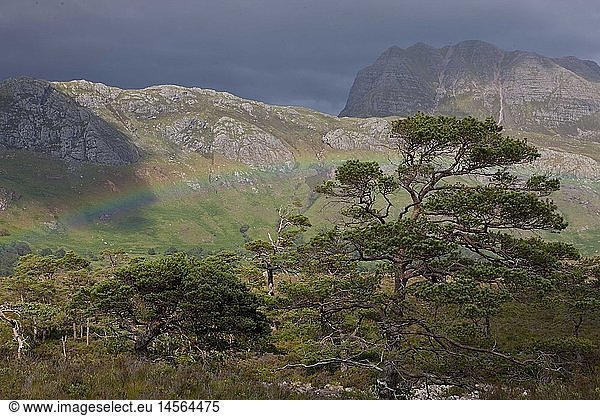 Geografie  GroÃŸbritannien  Schottland  Highlands  Loch Eighe  Beinn Eighe Nature Reserve