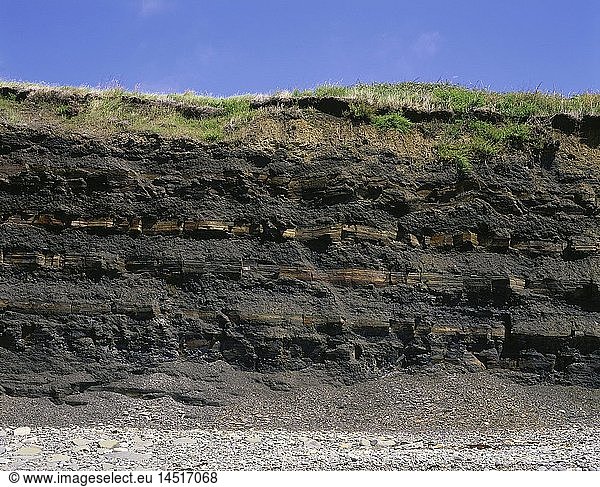 Geografie Grossbritannien England Landschaften Jurassic Coast Kimmeridge Bay