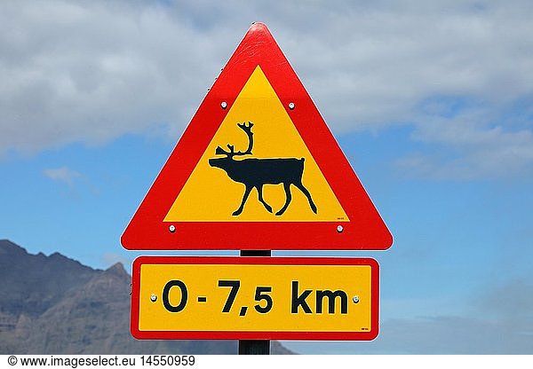 Geografie  Island  Austurland  Verkehrsschild  'Vorsicht Rentiere'  Ost Island
