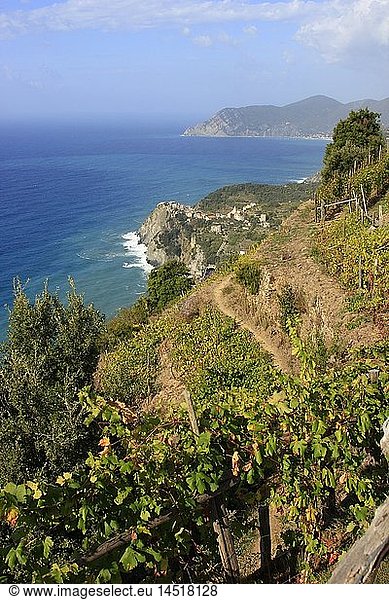 Geografie  Italien  Ligurien  Cinque Terre  Corniglia  Ortsansicht