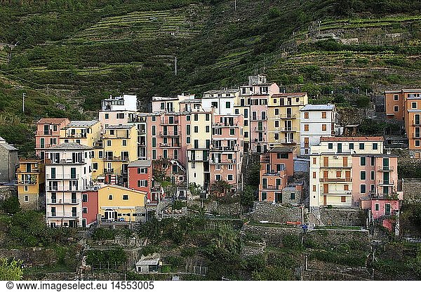 Geografie  Italien  Ligurien  Cinque Terre  Manarola  Ortsansicht