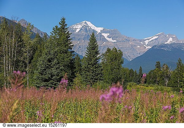 Geografie  Kanada  Mount Robson Provincial Park  Mount Robson