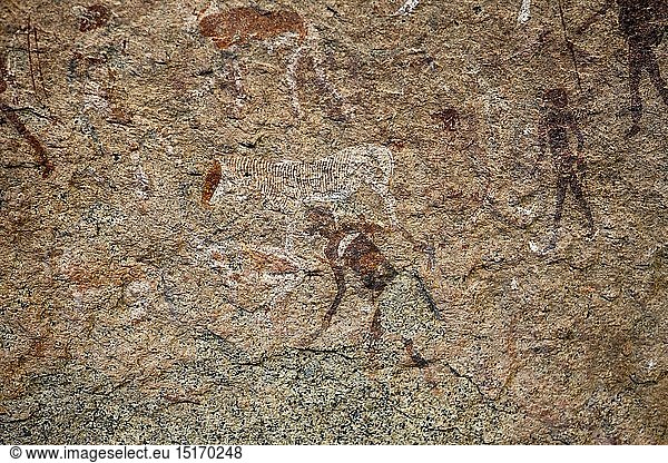 Geografie  Namibia  Archaeologische Felszeichnung Weisse Dame  Brandberg  Erongo  Namibia