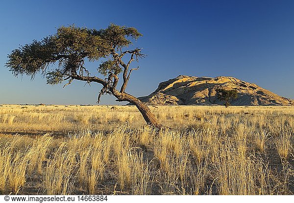 Geografie  Namibia  Blutkuppe