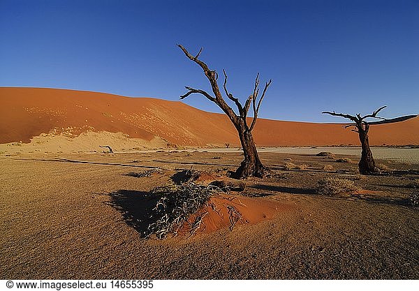 Geografie  Namibia  Namib-Naukluft Nationalpark  Die Tonpfanne im Hidden Vlei