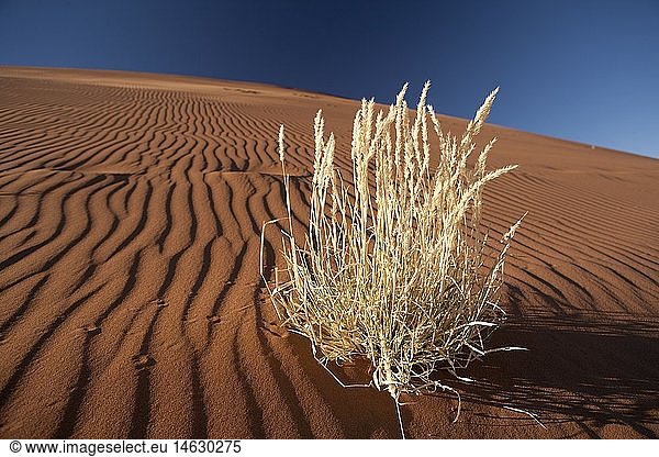 Geografie  Namibia  Region Erongo  Hardap  Karas  Namib-Naukluft-Nationalpark  Namib-WÃ¼ste
