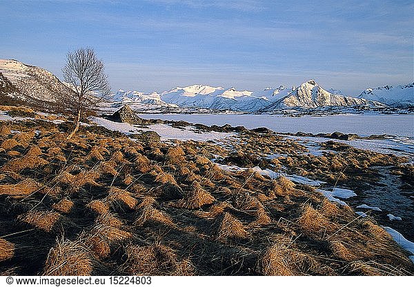 Geografie  Norwegen  Lofoten  Nilsfjorda