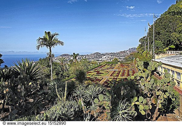 Geografie  Portugal  Insel Madeira  Funchal  Botanischer Garten
