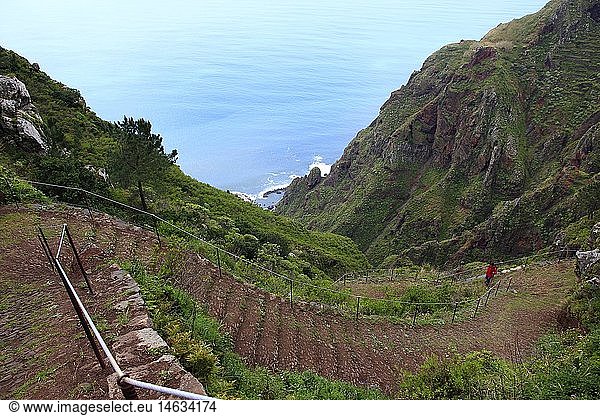 Geografie  Portugal  Madeira  Paul do Mar  Weg an der SteilkÃ¼ste