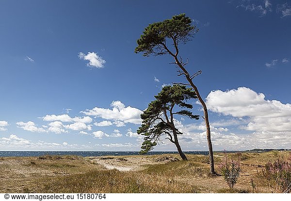 Geografie Schweden Skane Ystad Ostseeküste westlich von Ystad Skane Südschweden