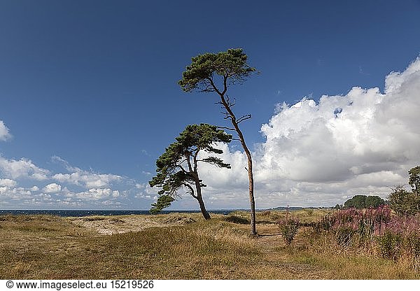 Geografie Schweden Skane Ystad Ostseeküste westlich von Ystad Skane Südschweden