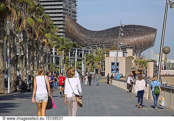 Geografie  Spanien  Barcelona  Uferpromenade des Port Olimpic mit Goldenem Fisch Peix d'Or von Frank O. Gehry und Torre Mapfre