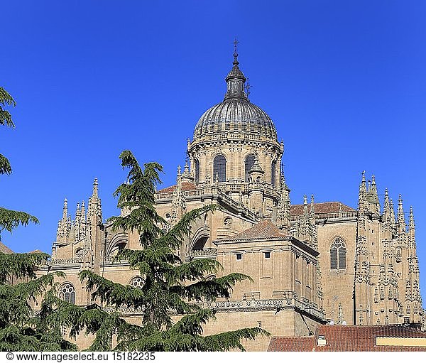 Geografie  Spanien  Kastilien und Leon  Salamanca  Neue Kathedrale